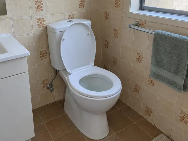 Clean white toilet in a tiled bathroom with towel rail and vanity in Matraville